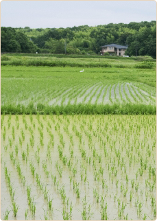山川が見渡せる田舎の地方エリア